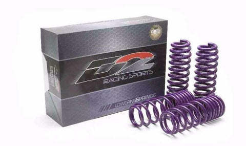 D2 Racing Pro Series Springs - Nissan