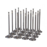 Skunk2 Ultra Valves B - Series