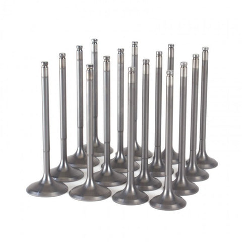 Skunk2 Alpha Valves B - Series